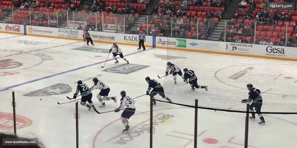 乐鱼官网——🤿极限深潜,探秘深渊!